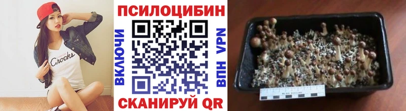 Псилоцибиновые грибы Psilocybine cubensis  Осинники 