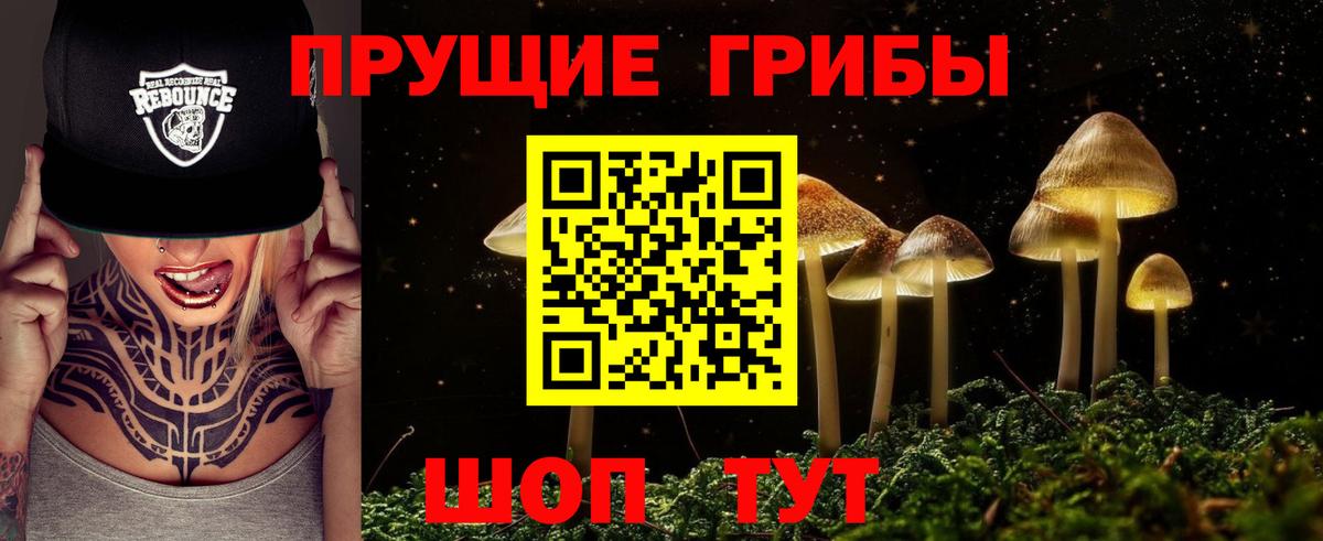 Галлюциногенные грибы ЛСД Осинники